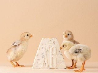 Паска Сирна Фігурна