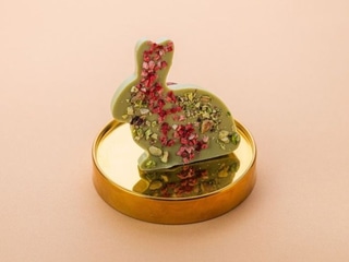 Кролик фісташка з полуницею