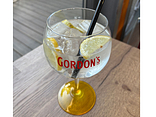 Gin Tonic