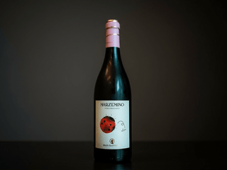 Marzemino Vino Frizzante Beato Bartolomeo