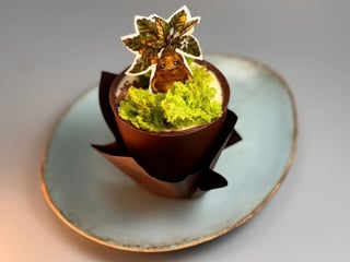 Десерт "Мандрагора"