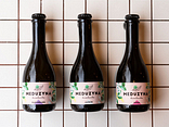 KOMBUCHA MEDUZYNA