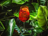 GAMONDI SPRITZ