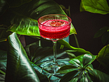 CLOVER CLUB