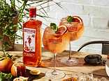BEEFEATER BLOOD ORANGE & TONIC