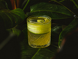 GIN GARDEN