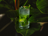 MOJITO