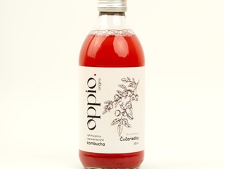 Oppio kombucha Čučoriedka