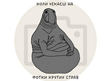 Піца Американка