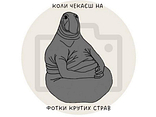 Піца Прованс