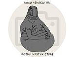 Піца Карбонара