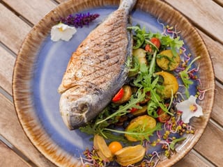 DORADA Z GRILL (okoniowata ryba morska)