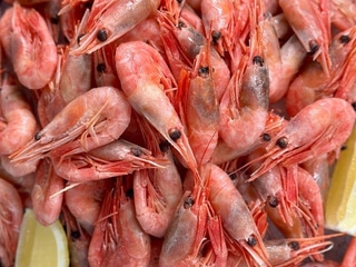 Креветки гренландські