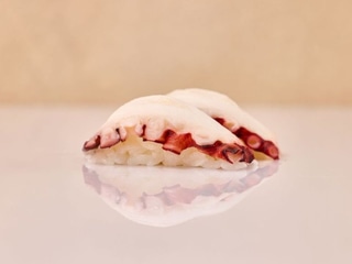 Polip Nigiri