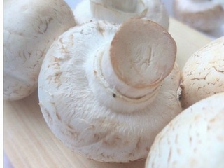 Шампіньйони