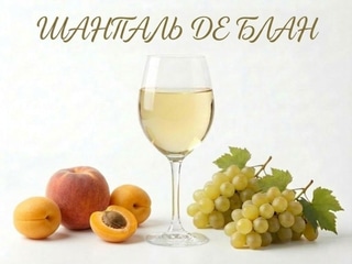 Вино "Шанталь Де Блан" біле напівсолодке