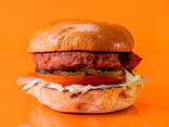 Vege Tofu burger