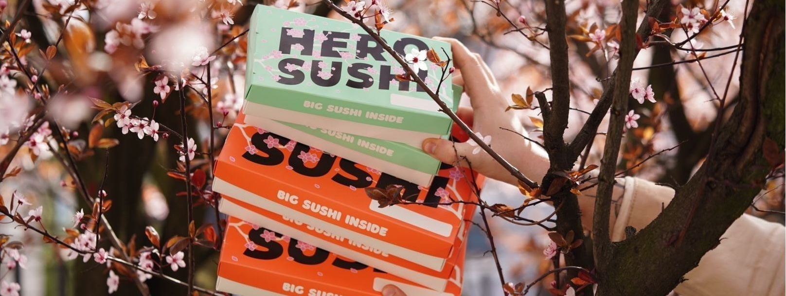 Sushi Hero