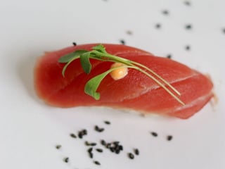 Maguro