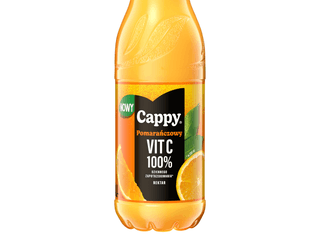 Cappy nektar multiwitamina 0.33
