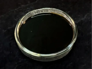 Унагі