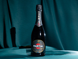 MARTINI BRUT BOTTLE