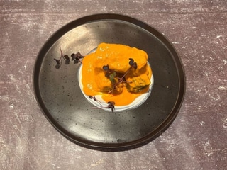 Holubci