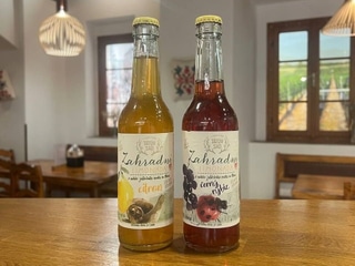 Limonáda