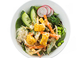 Vegetable tempura don
