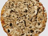 Funghi
