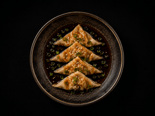 Wonton teriyaki