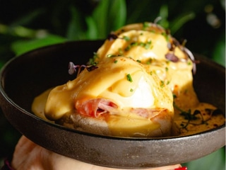 Eggs Benedict