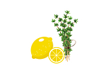 Domácí limonáda TYMIÁN & CITRÓN 🌿🍋