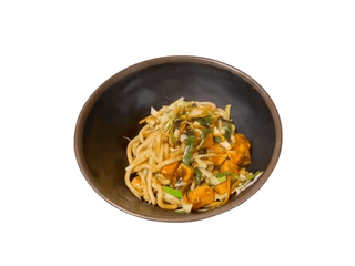 Udon nudle