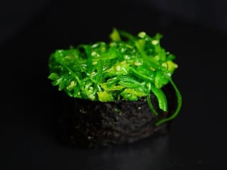Gunkan Wakame