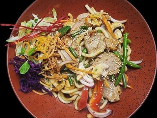 DUCK UDON