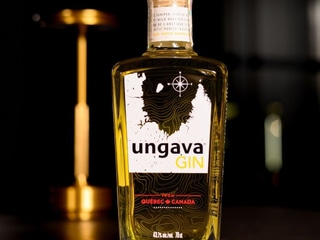 Ungava