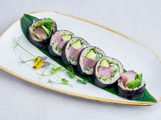 Seriola / Yellowtail