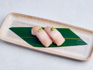 Seriola / Yellowtail
