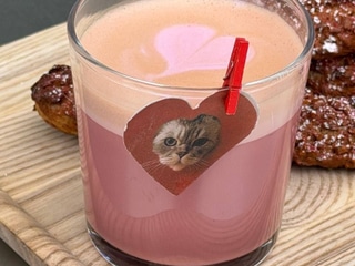 Кото-лате 🐾