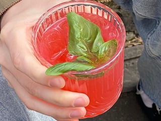 Джин тонік малина-базилік